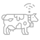 cow-grey-1 cow-grey-1